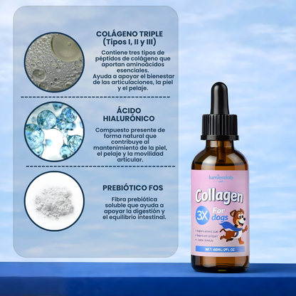 VitalPaws Colageno™ - Movilidad y bienestar desde adentro.