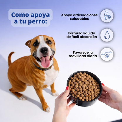 VitalPaws Colageno™ - Movilidad y bienestar desde adentro.