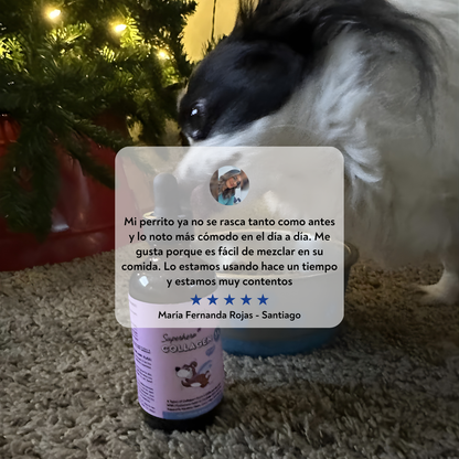 VitalPaws Colageno™ - Movilidad y bienestar desde adentro.