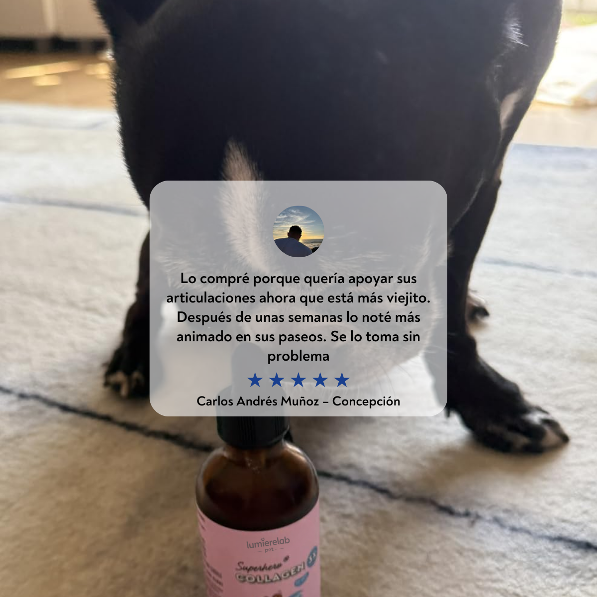 VitalPaws Colageno™ - Movilidad y bienestar desde adentro.
