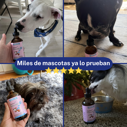 VitalPaws Colageno™ - Movilidad y bienestar desde adentro.